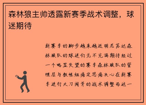 森林狼主帅透露新赛季战术调整，球迷期待